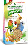 Manitoba Pate Carnival Eggfood for Canaries Pastoncino 400gr