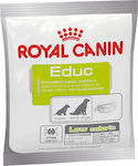 Royal Canin Educ Low Calorie Treat for Puppies Diet 50gr 1800005