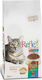 Reflex Adult Multi Colour Dry Food for Adult Cats with Chicken 15kg