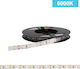 Power Led LED Strip 2RLS66520 12V Cold White Light 5m Type SMD2835