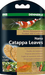 Dennerle Nano Catappa Leaves Aquarium Water Treatment for Environment Protection