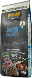 Belcando Junior Maxi 12.5kg Ξηρά Τροφή χωρίς Σιτηρά για Κουτάβια Μεγαλόσωμων Φυλών με Κοτόπουλο και Ψάρια