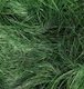 Efco Craft Grass 50gr in Green Color