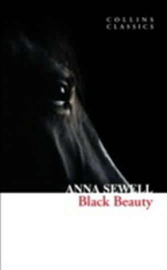 Black Beauty Black Beauty