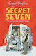Puzzle for the Secret Seven, Secret Seven