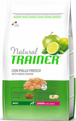 Natural Trainer Puppy Maxi 12кг Суха храна за големи кученца с Турция, Пилешко и Ориз