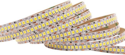 Eurolamp Bandă LED Alimentare 24V cu Lumină Alb Cald Lungime 5m și 240 LED-uri pe Metru SMD2835
