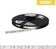 Power Led LED Strip 2RLS48272024 24V Warm White Light 5m Type SMD3528