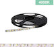 Power Led Ταινία LED 2RLS48452024 24V Φυσικό Λευκό Φως 5m Τύπου SMD3528