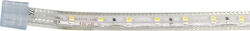 Power Led Ταινία LED 2RLS23062754 220V Θερμό Λευκό 1m Power Led Ταινία LED 2RLS23062754 220V Θερμό Λευκό 1m