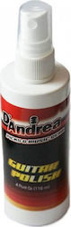 D'Andrea Guitar Polish Cleaning Accessory