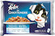 Felix Felix Le Ghiottonerie Wet Food for Adult Cats in Pouches with Salmon and Tuna 4x85gr