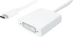 Powertech Converter USB-C male to DVI-I female White (PTH-036)