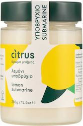 Citrus Ypovrichio Λεμόνι Χίου 380gr