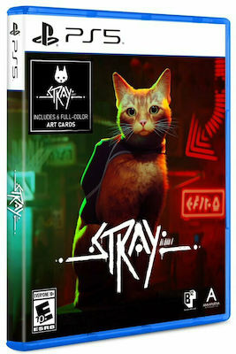 Stray PS5-Spiel