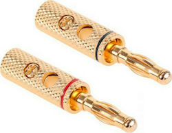 WTY0203 Banana Plug 2pcs