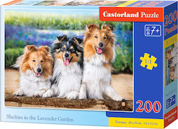 Kids Puzzle Shelties in the Lavender Garden 200pcs Castorland