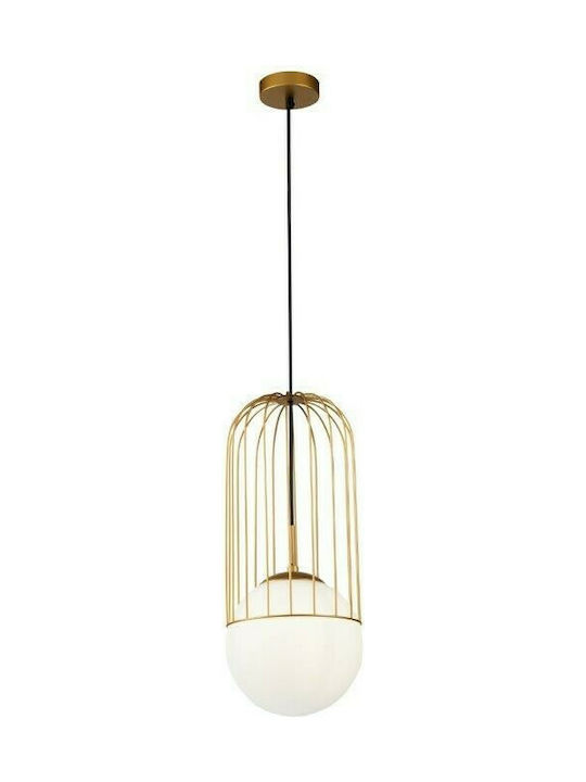 Maytoni Telford Pendant Light Single-Light for Socket E27 Gold