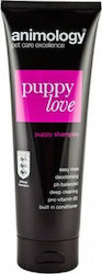 Animology Love Shampoo for Puppies 250ml