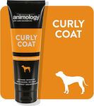 Animology Curly Coat Shampoo Dog Vegan Dog 250ml