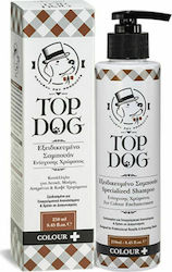 Top Dog 