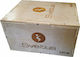 Sveltus Plyometric Box 4602 Plyometric Wooden Box