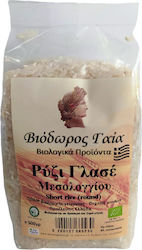 Viodoros Gaia Organic Rice Glaze 500gr