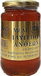 Φωτόπουλος Χαράλαμπος Honey Flower 460gr