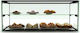 Sayl Barcelona EP36 Food Display Cabinet