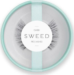 Sweed Gabbi
