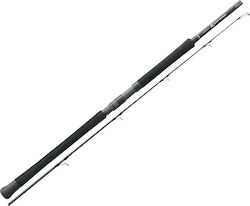 Graphiteleader Remoto 19 2.99m