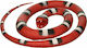Wild Republic Wild Republic Orange White Scarlet Snake Height 117cm