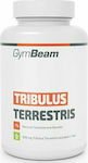 GymBeam Tribulus Terrestris 90% 600mg 120 Registerkarten