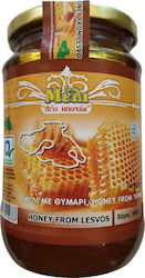 2 Εποχές Μέλι Θυμαρίσιο 940gr