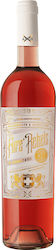 Astir X Winey Fare Rebels Rosé Trocken 750ml