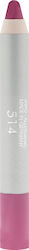 Dorothy L Lang anhaltend Bleistift Lippenstift ...