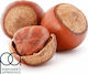 TPA Άρωμα Hazelnut 10ml 1τμχ