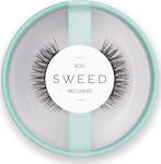 Sweed Boo False Lashes in Black color Black