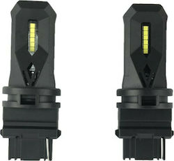 Xtec Λάμπες LED Λευκό 2τμχ Xtec Λάμπες LED Λευκό 2τμχ