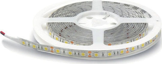 Geyer LED Strip 12V Cold White Light 5m Type SMD5050