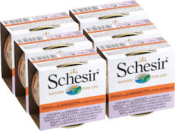 Schesir Nature for Cat Wet Food for Adult Cat in Can with Shrimps and Chicken 70gr