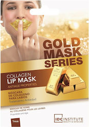 IDC Institute Gold Series Lippenmasken 8gr IDC Institute Gold Series Lippenmasken 8gr