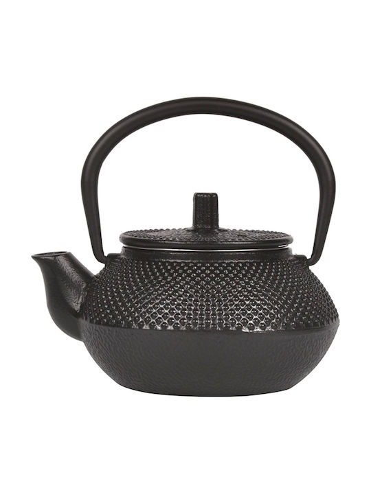 GTSA Tea Set with Filter Cast Iron Black 350ml 1pcs