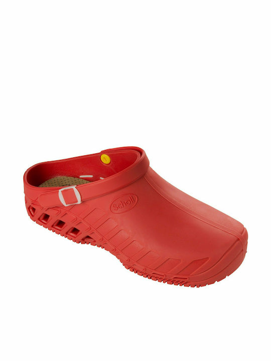 Scholl F265631 Scholl F265631