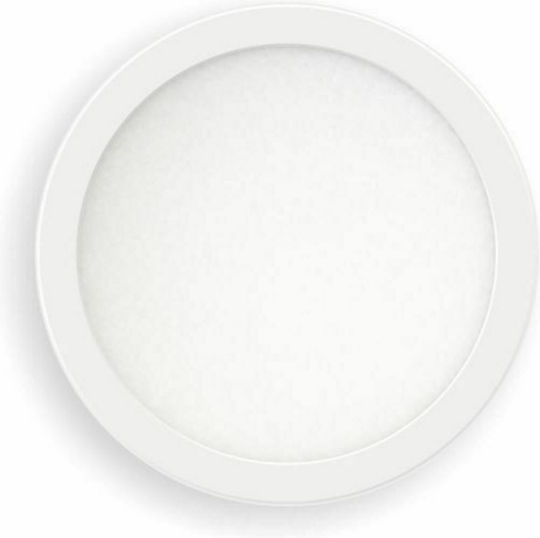 Spot Light 542 Spot Light 542