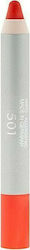 Dorothy L Lang anhaltend Bleistift Lippenstift ...