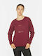 Superdry Established Women's Sweatshirt Burgundy