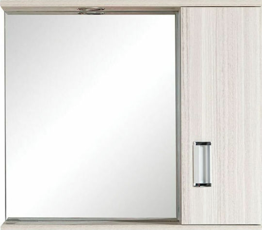 Gloria Fino I Rechteckiger Badezimmerspiegel aus Kunststoff mit Schrank, Regal & Lampenfassung 62x55cm Terra