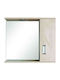 Gloria Fino I Rectangular Bathroom Mirror made of Plastic with Cabinet, Shelf & Light Socket 62x55cm Beige