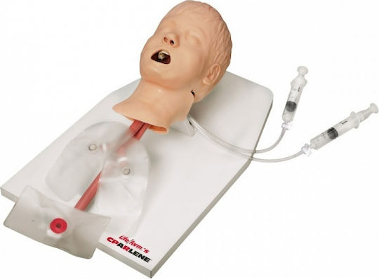 3b Scientific Manechin de antrenament medical
